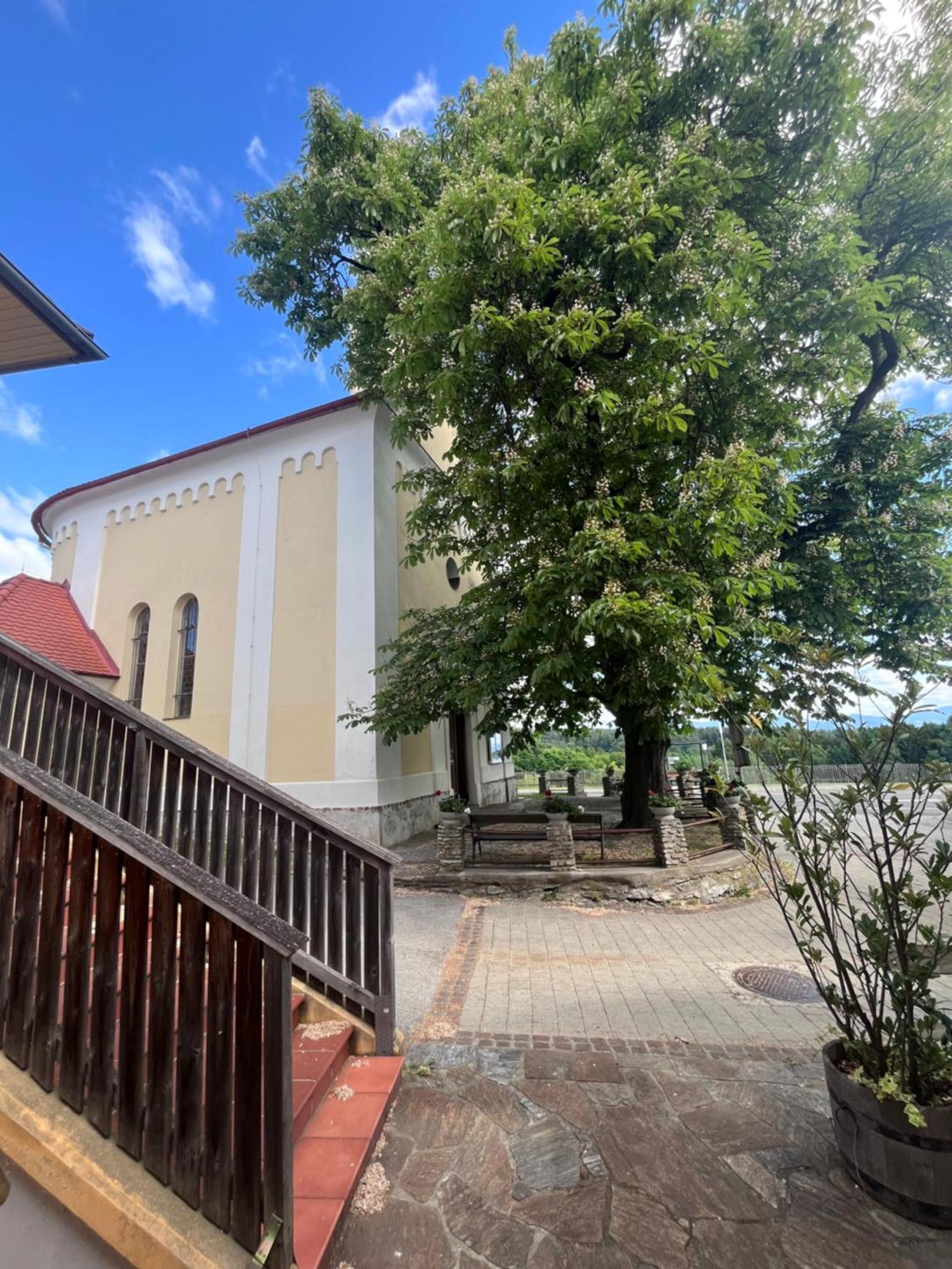 Gasthof Grossschedl Zum Kramerwirt Ласницхёе Экстерьер фото